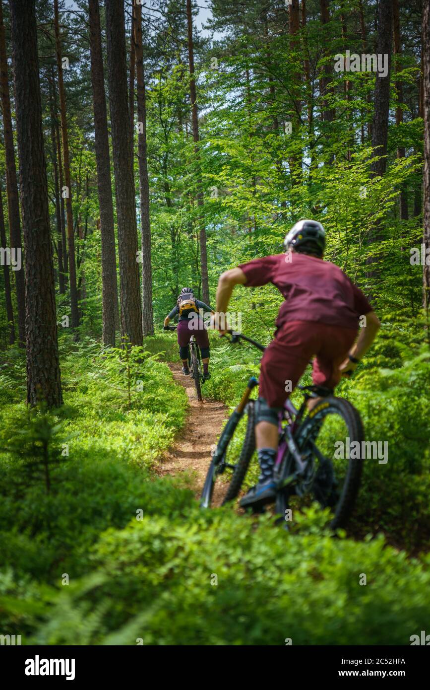 Adulto Hombre Caucásico Bicicleta De Montaña Montar En Bicicleta En La Cima  De La Colina Rodeado De Hermosa Naturaleza Y Una Vista Increíble Foto de  stock y más banco de imágenes de