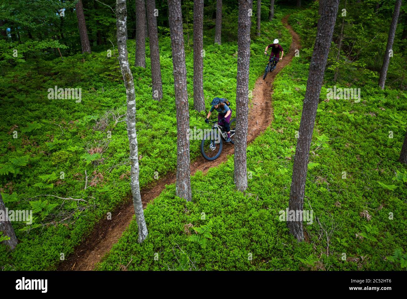 Hombre y mujer en bicicleta de montaña a través del bosque, Klagenfurt, Carintia, Austria Foto de stock