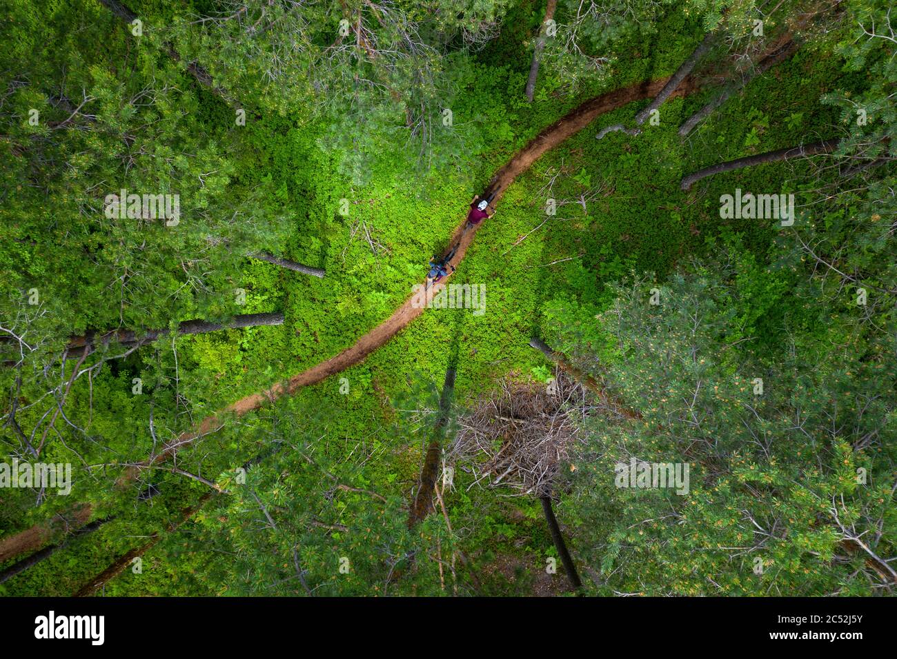 Vista aérea de un hombre y una mujer en bicicleta de montaña a través del bosque, Klagenfurt, Carintia, Austria Foto de stock