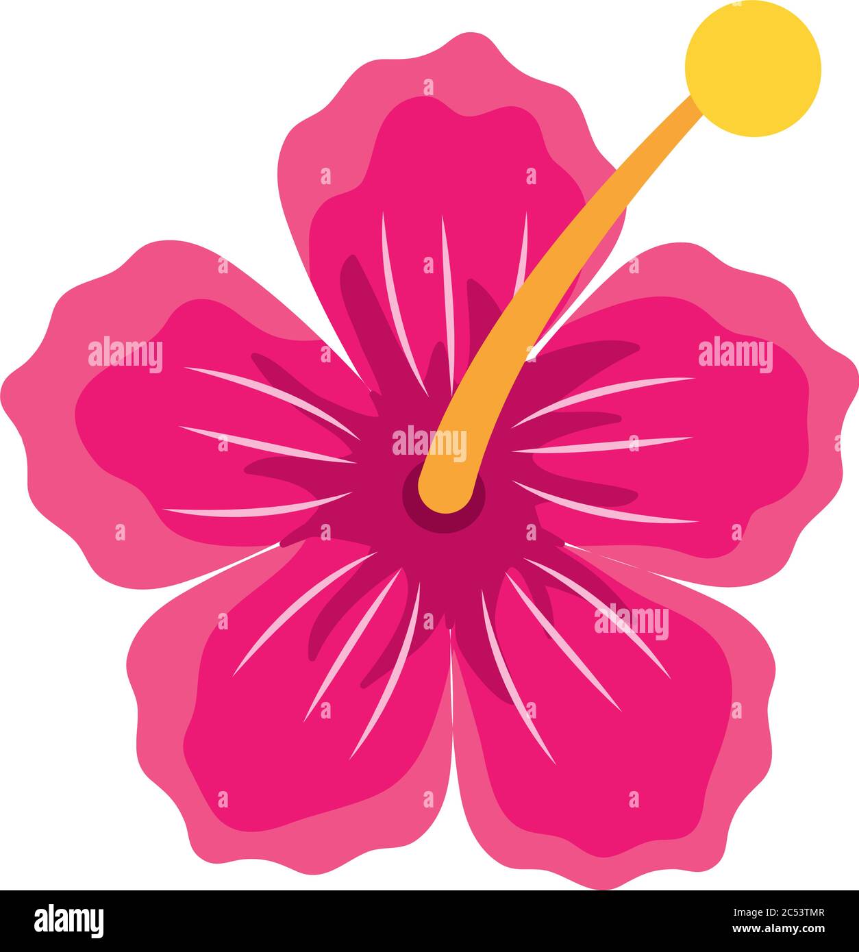 icono de flores hawaianas sobre fondo blanco, diseño colorido, ilustración  vectorial Imagen Vector de stock - Alamy
