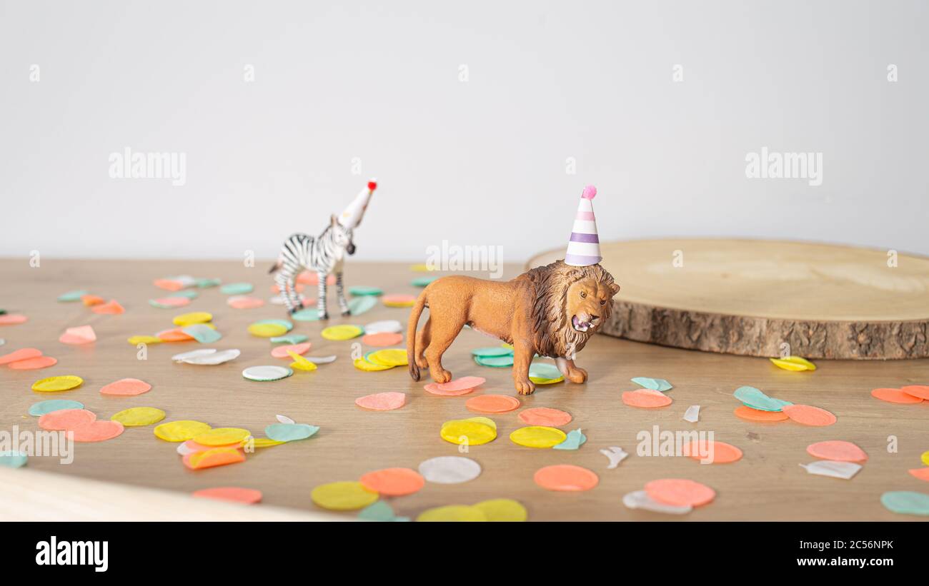 Animales con gorros de cumpleaños fotografías e imágenes de alta resolución  - Alamy