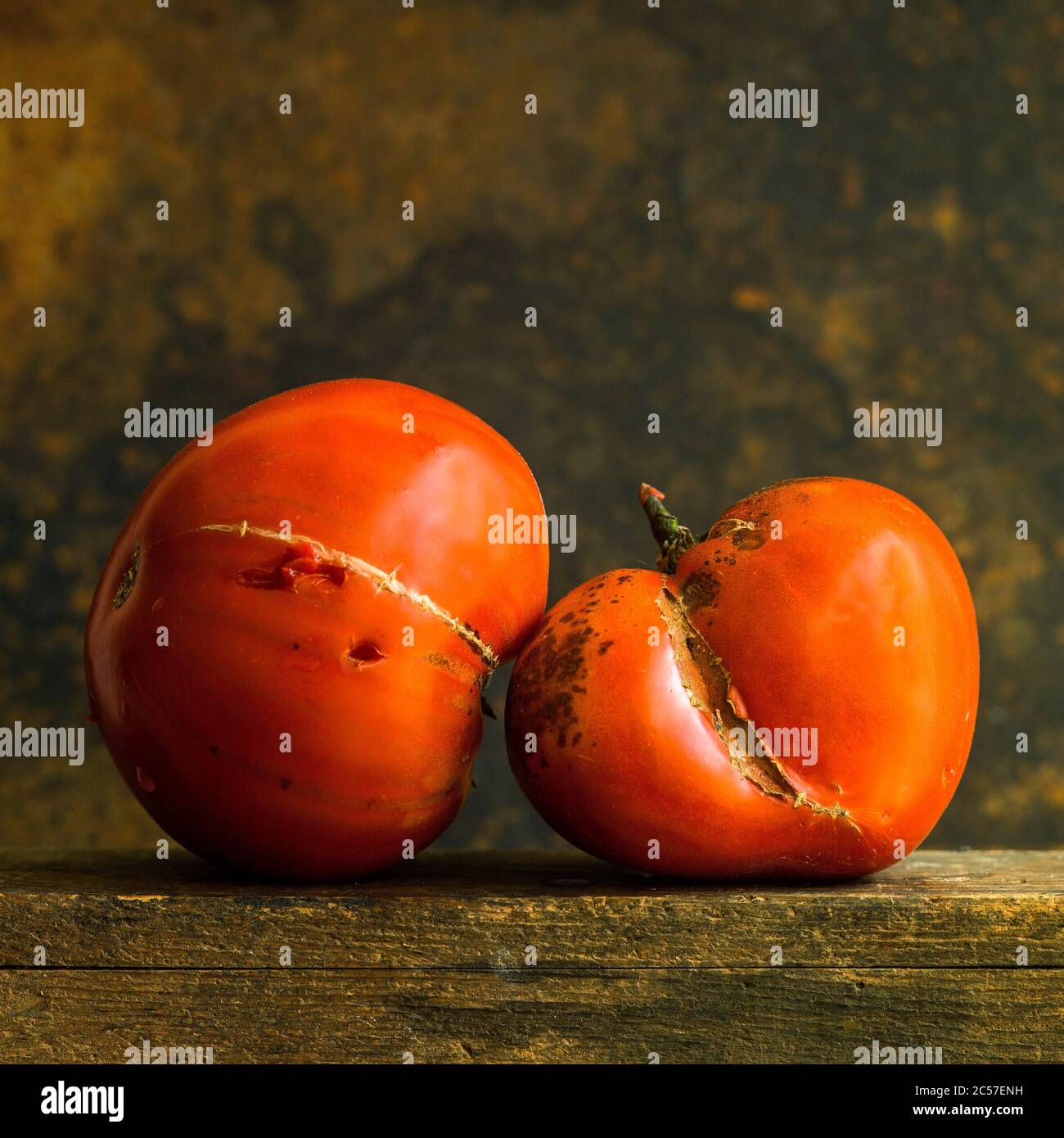 Tomate rojo dañado aislado sobre fondo marrón Foto de stock