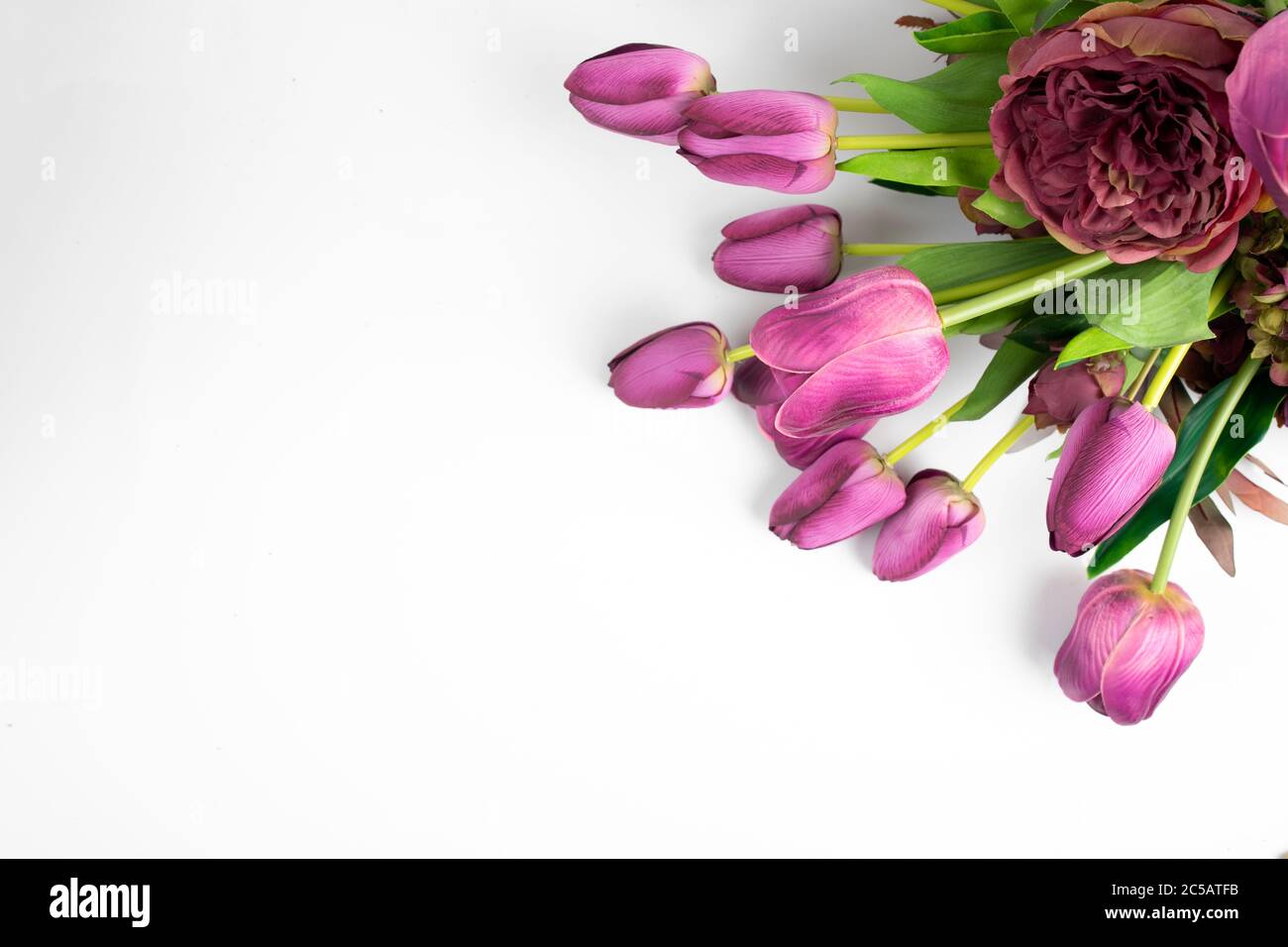 Flores de tulipanes de color púrpura fresco arreglo de ramo sobre un fondo blanco Foto de stock
