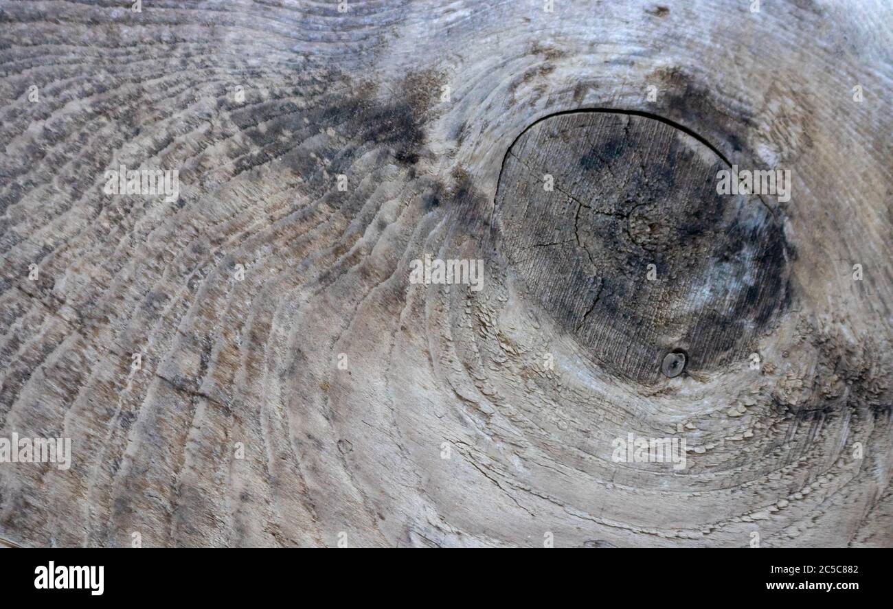 Textura de las viejas tablas de madera vintage textura de fondo de madera natural. Espacio para el texto Foto de stock