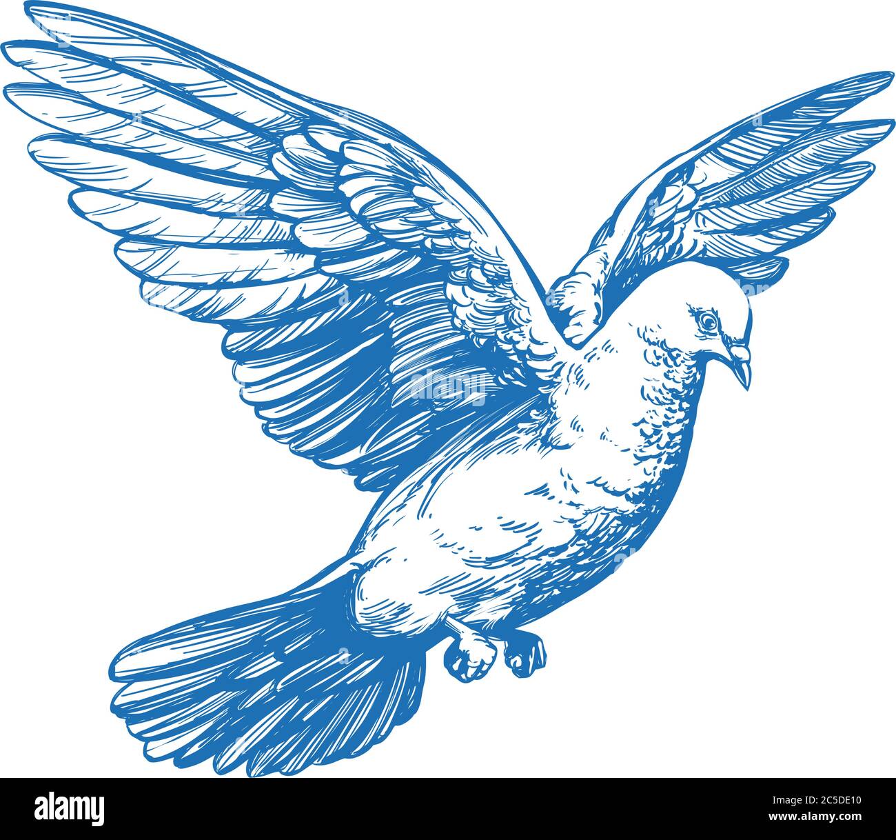 Resultado de imagen para dibujos de aves a lapiz  Bird pencil drawing  Realistic animal drawings Bird drawings