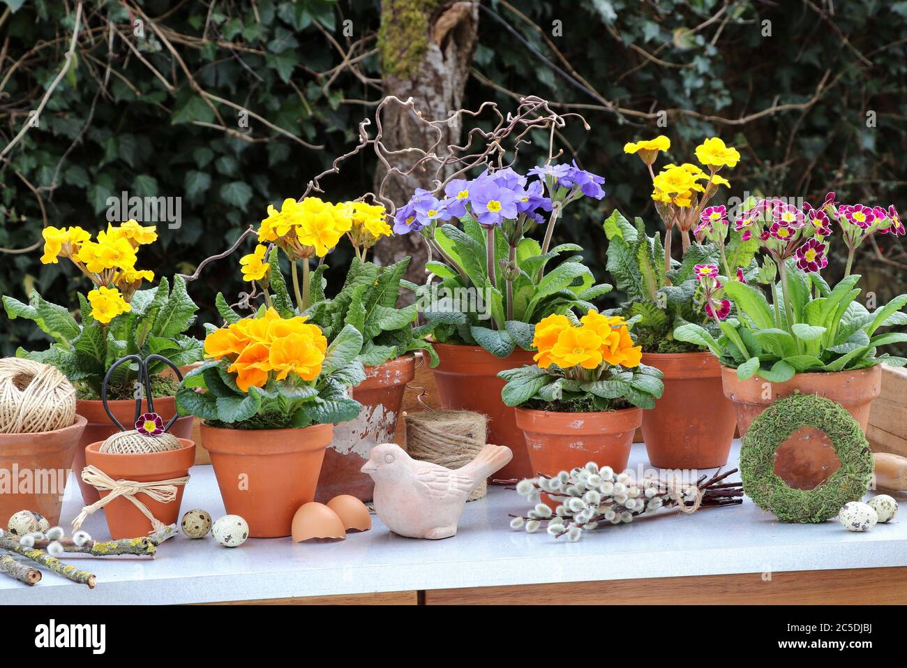 Pot and bird fotografías e imágenes de alta resolución - Alamy