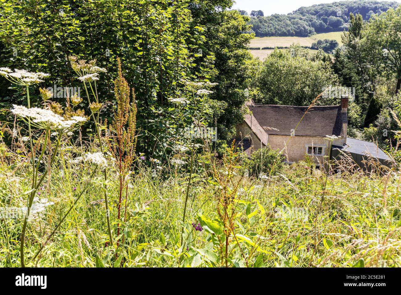 'Rosebank' (con una extensión moderna) en el pueblo de Slad, Gloucestershire, Reino Unido - la casa de la infancia de Laurie Lee, autor de 'Cider with Ros Foto de stock