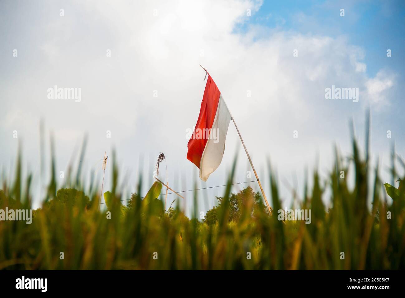 Bandera Indonesia ondeando en el campo balinés Foto de stock