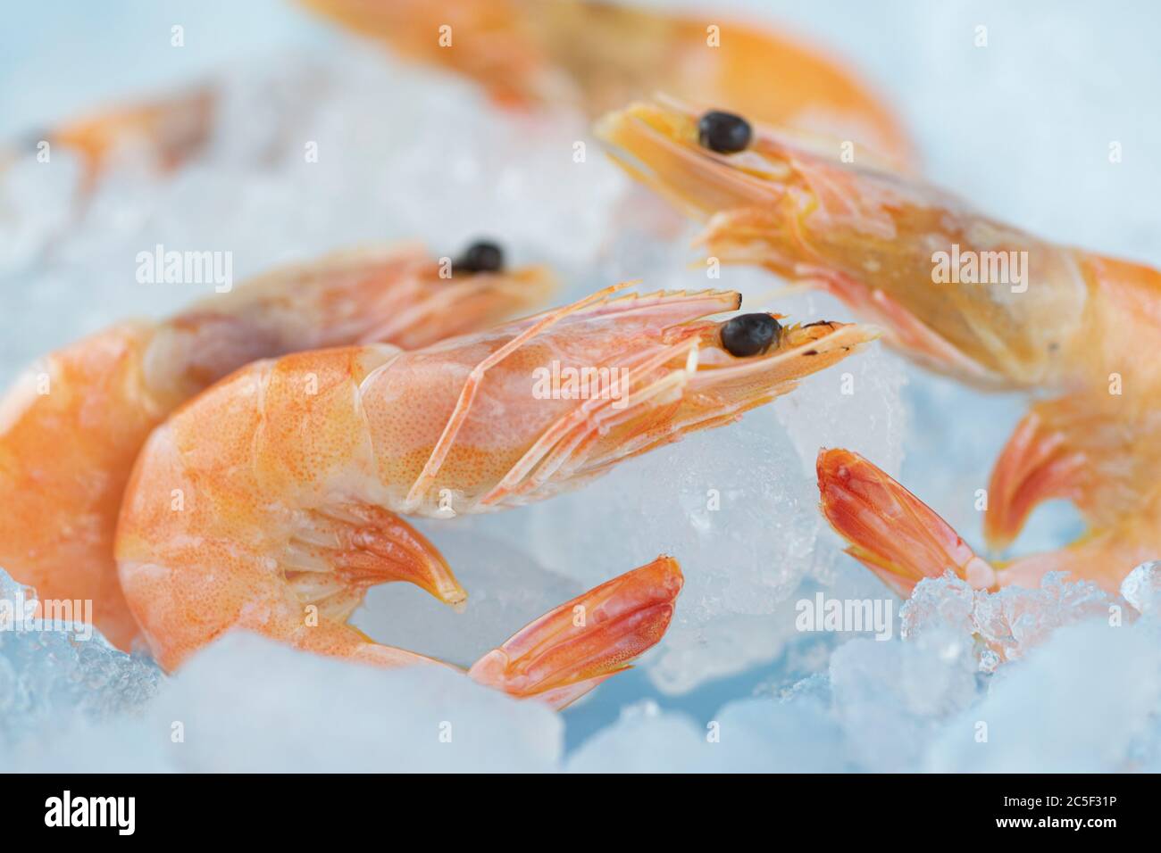 Rey del buffet fotografías e imágenes de alta resolución - Página 3 - Alamy