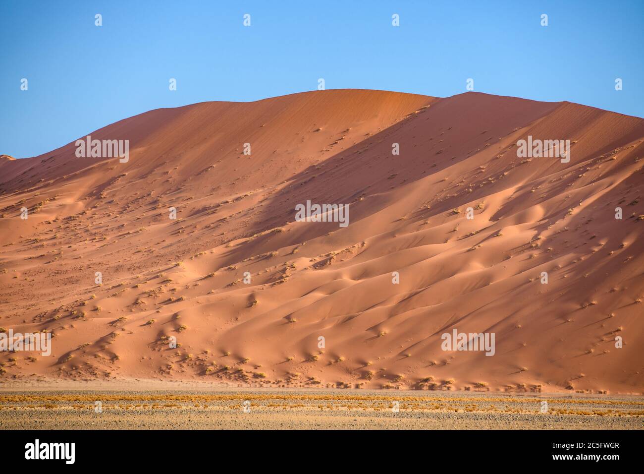 Sossusvlei , Parque Nacional Namib-Naukluft , Namibia. Foto de stock