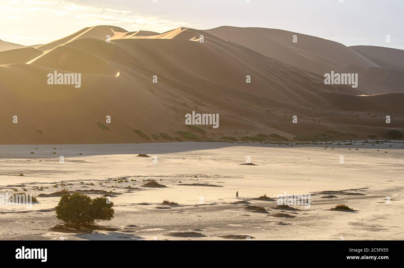 Sossusvlei , Parque Nacional Namib-Naukluft , Namibia. Foto de stock