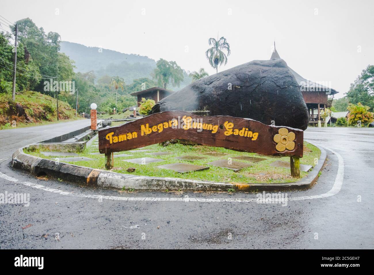 El Cartel De Taman Negara Gunung Gading O Parque Nacional Gunung Gading Lundu Casa De La 