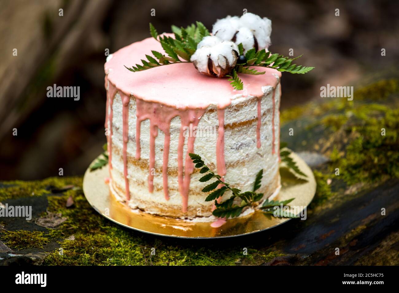 Pastel de boda en dos pisos y crema clara con fruta fresca y decorado antes  de la ceremonia se puso en medio del bosque en el tronco de un árbol  Fotografía de