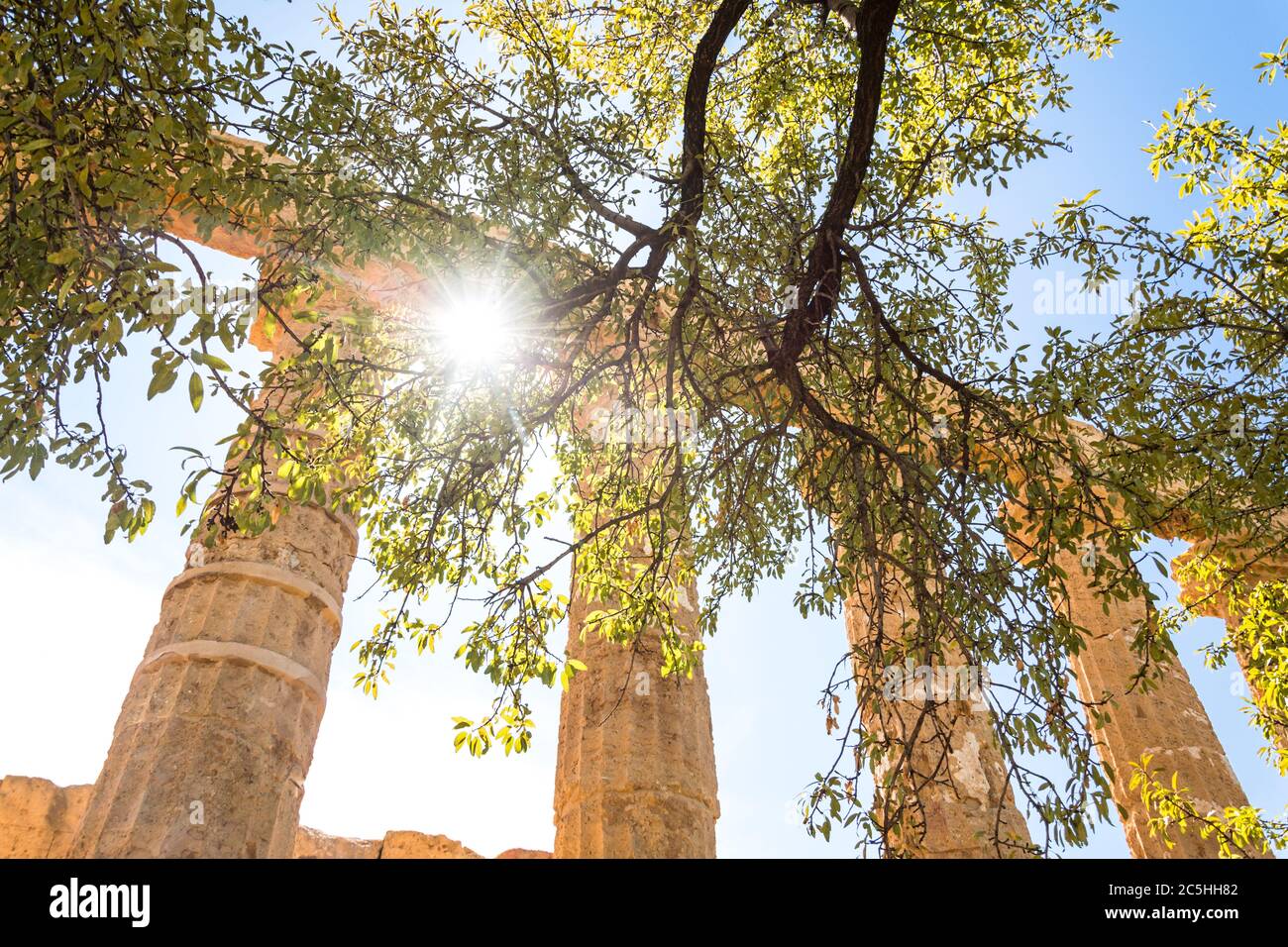 Románticos pilares griegos antiguos y ramas de árboles en el antiguo templo con el sol brillando Foto de stock