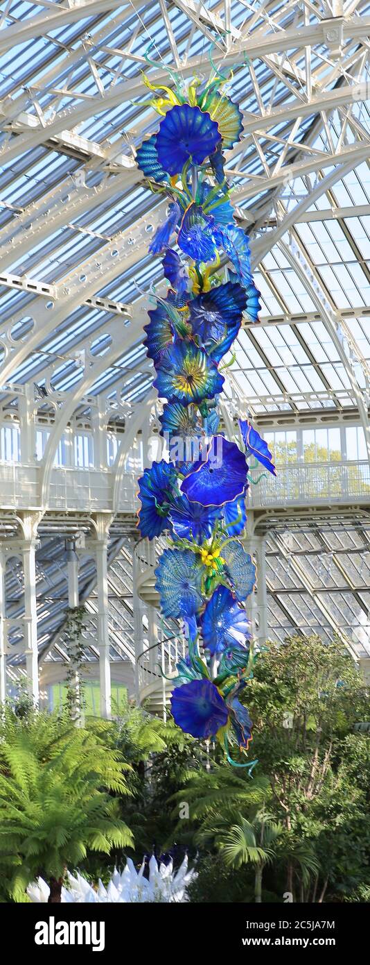 32 instalaciones de arte se situaron en los jardines en una amplia variedad de lugares. A medida que los visitantes entran por Victoria Gate, vieron a Sapphire Star, las formas individuales de vidrio soplado de las cuales se irradiarán hacia afuera para crear una experiencia visual celestial. El vibrante color azul de la estrella zafiro está muy concentrado en el centro, donde los elementos de vidrio individuales se encuentran y se vuelven cada vez más opacos. Las puntas acromáticas translúcidas de la obra reflejan la luz y añaden un intenso resplandor. La obra de Chihuly ha sido expuesta en más de 240 museos alrededor del mundo en su carrera de 50 años. Foto de stock