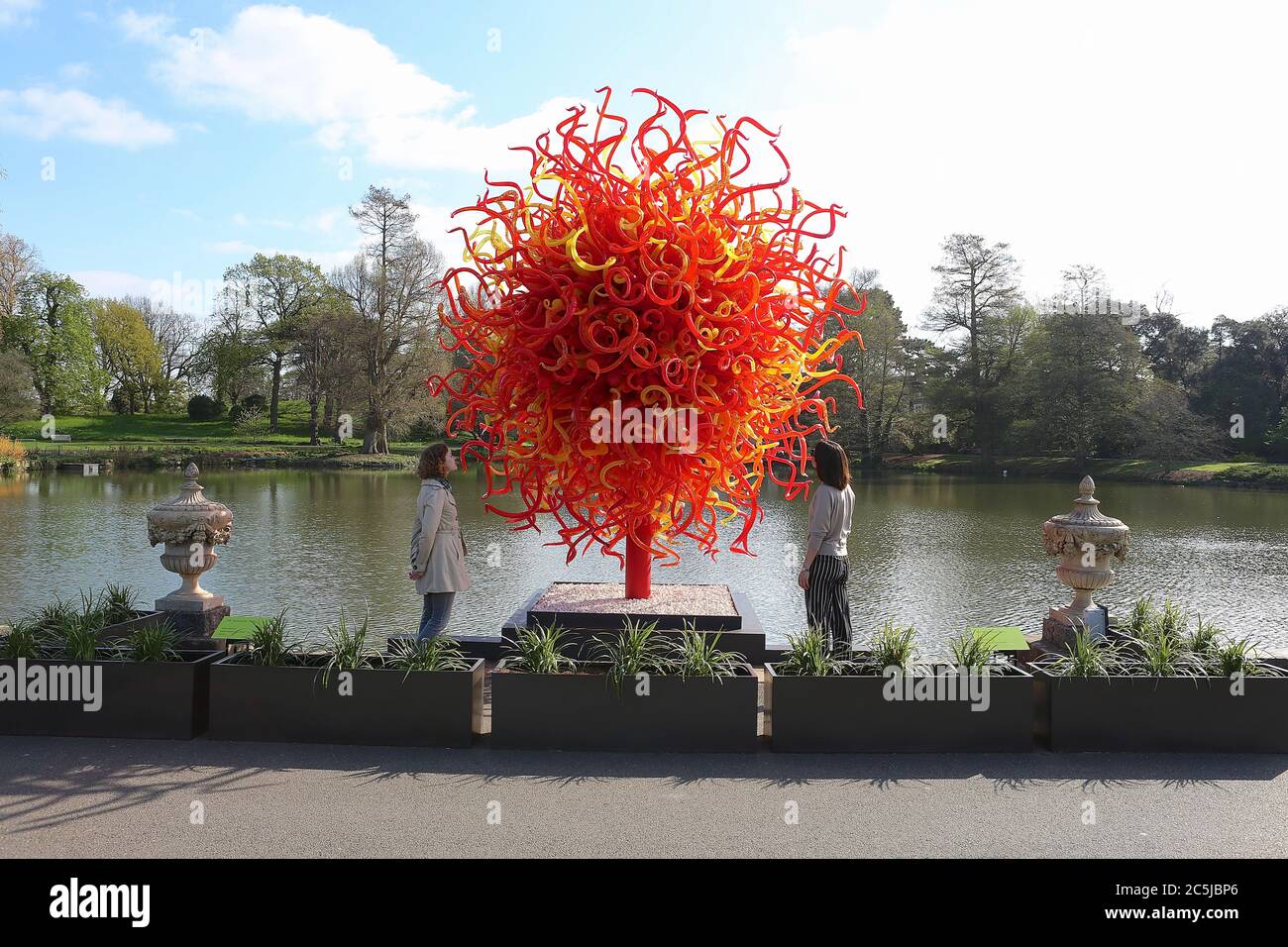 32 instalaciones de arte se situaron en los jardines en una amplia variedad de lugares. A medida que los visitantes entran por Victoria Gate, vieron a Sapphire Star, las formas individuales de vidrio soplado de las cuales se irradiarán hacia afuera para crear una experiencia visual celestial. El vibrante color azul de la estrella zafiro está muy concentrado en el centro, donde los elementos de vidrio individuales se encuentran y se vuelven cada vez más opacos. Las puntas acromáticas translúcidas de la obra reflejan la luz y añaden un intenso resplandor. La obra de Chihuly ha sido expuesta en más de 240 museos alrededor del mundo en su carrera de 50 años. Foto de stock