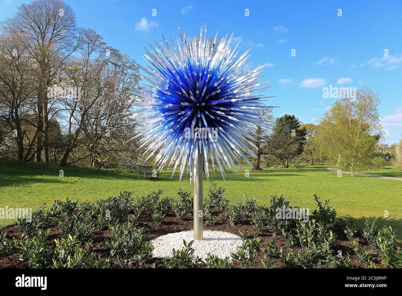 32 instalaciones de arte se situaron en los jardines en una amplia variedad de lugares. A medida que los visitantes entran por Victoria Gate, vieron a Sapphire Star, las formas individuales de vidrio soplado de las cuales se irradiarán hacia afuera para crear una experiencia visual celestial. El vibrante color azul de la estrella zafiro está muy concentrado en el centro, donde los elementos de vidrio individuales se encuentran y se vuelven cada vez más opacos. Las puntas acromáticas translúcidas de la obra reflejan la luz y añaden un intenso resplandor. La obra de Chihuly ha sido expuesta en más de 240 museos alrededor del mundo en su carrera de 50 años. Foto de stock
