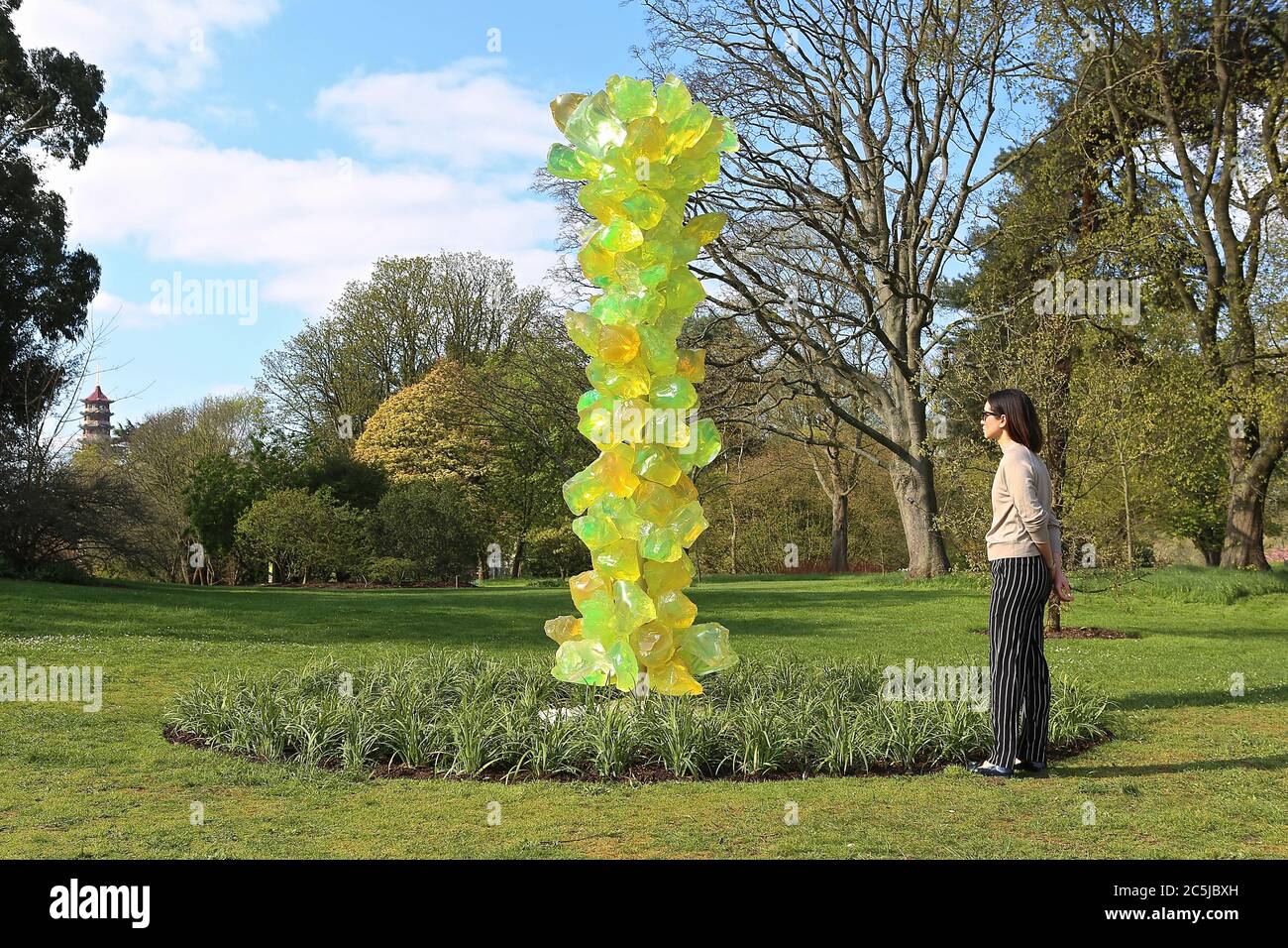 32 instalaciones de arte se situaron en los jardines en una amplia variedad de lugares. A medida que los visitantes entran por Victoria Gate, vieron a Sapphire Star, las formas individuales de vidrio soplado de las cuales se irradiarán hacia afuera para crear una experiencia visual celestial. El vibrante color azul de la estrella zafiro está muy concentrado en el centro, donde los elementos de vidrio individuales se encuentran y se vuelven cada vez más opacos. Las puntas acromáticas translúcidas de la obra reflejan la luz y añaden un intenso resplandor. La obra de Chihuly ha sido expuesta en más de 240 museos alrededor del mundo en su carrera de 50 años. Foto de stock