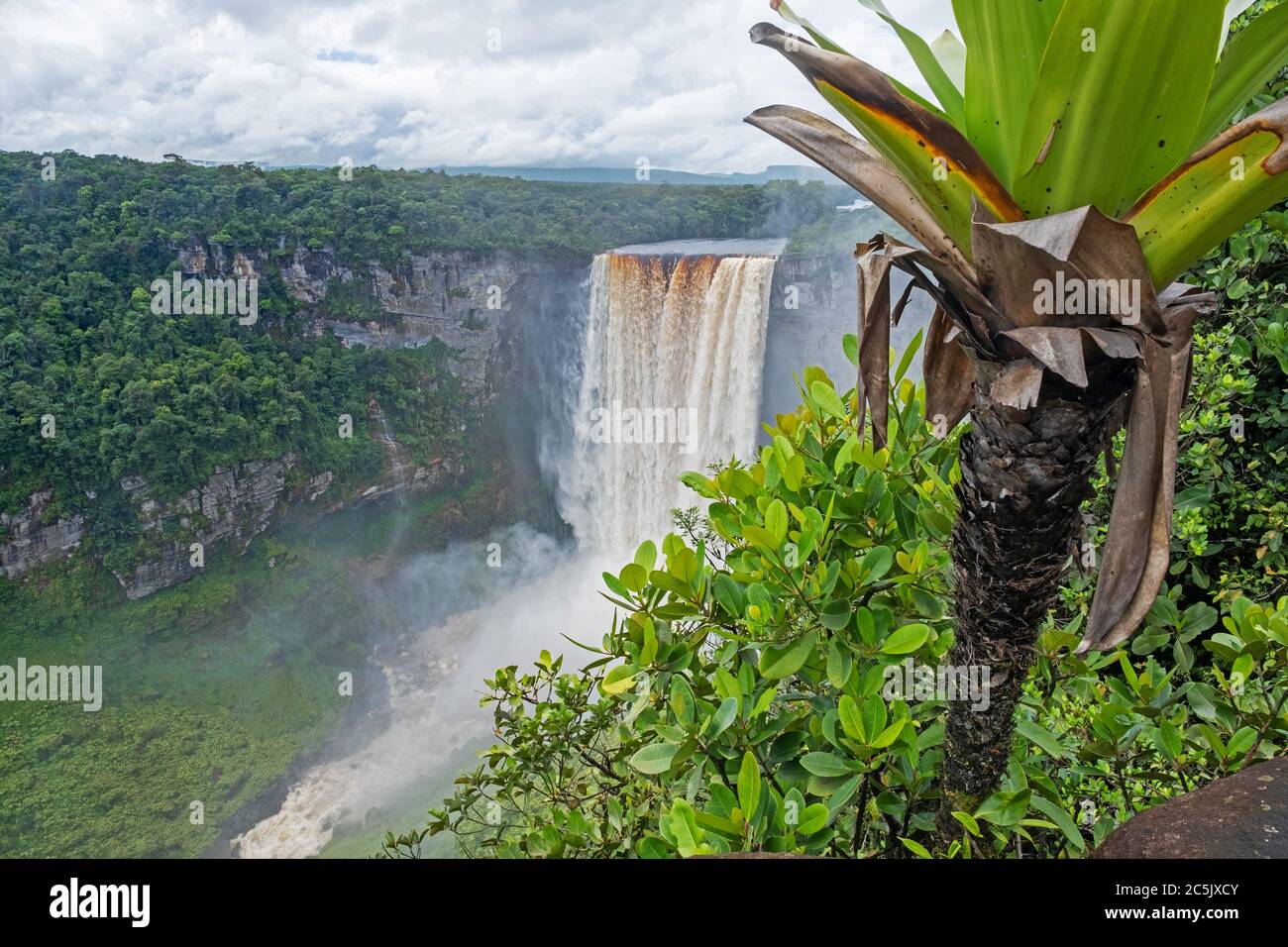 Kaieteur Falls en el río Potaro en el Parque Nacional Kaieteur, Guyana, Sudamérica. La cascada más grande del mundo en altura y volumen Foto de stock