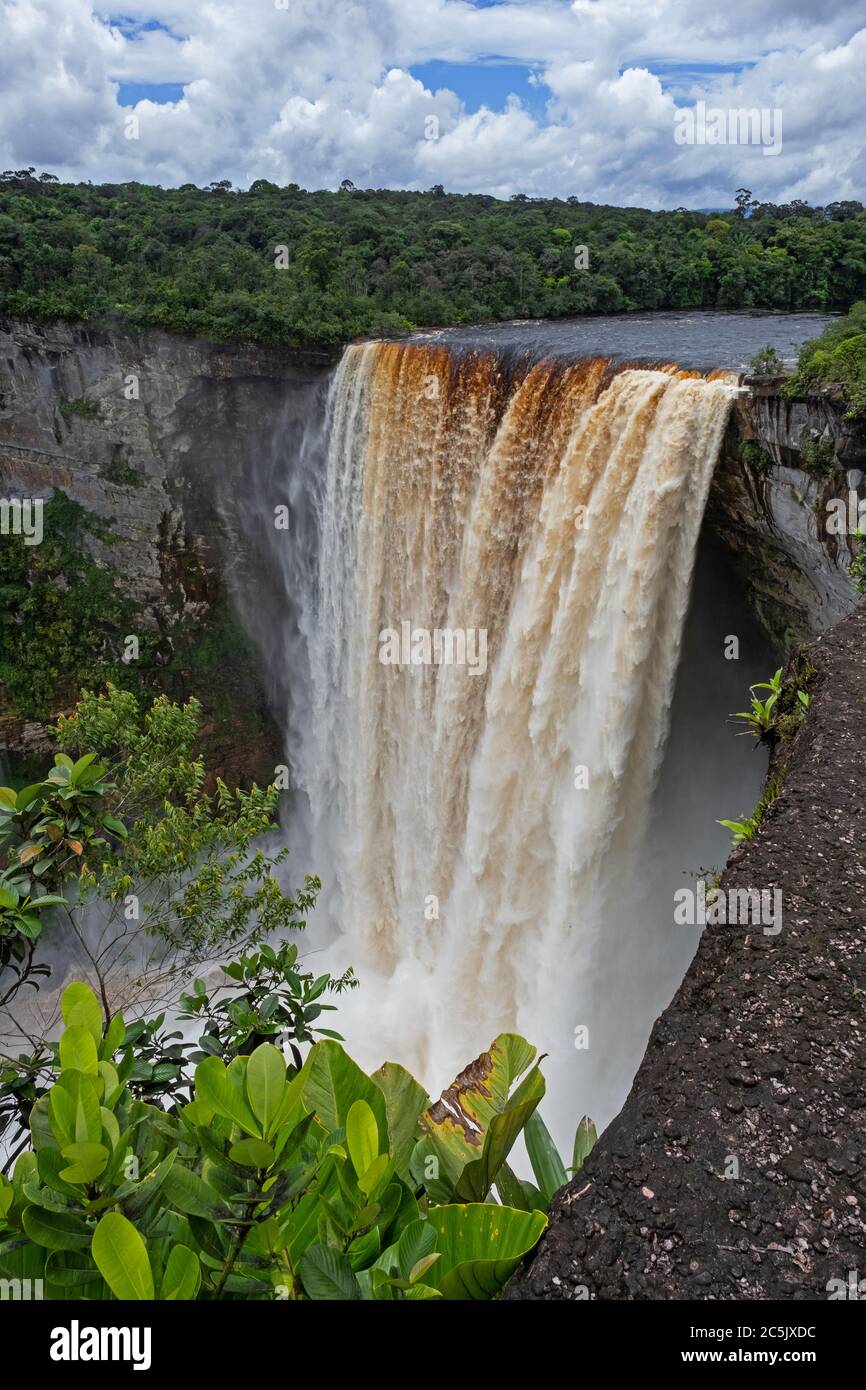 Kaieteur Falls en el río Potaro en el Parque Nacional Kaieteur, Guyana, Sudamérica. La cascada más grande del mundo en altura y volumen Foto de stock