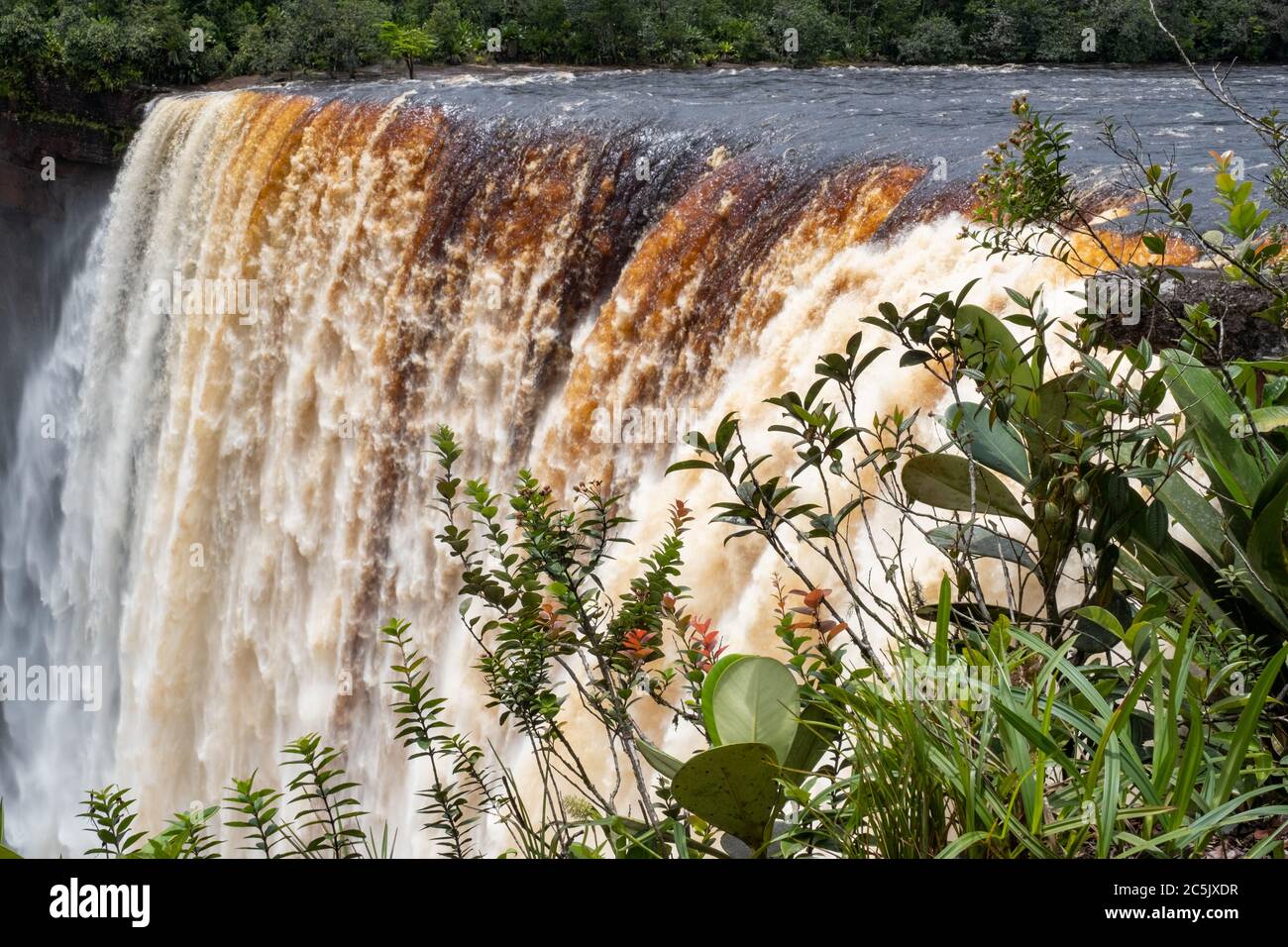 Kaieteur Falls en el río Potaro en el Parque Nacional Kaieteur, Guyana, Sudamérica. La cascada más grande del mundo en altura y volumen Foto de stock