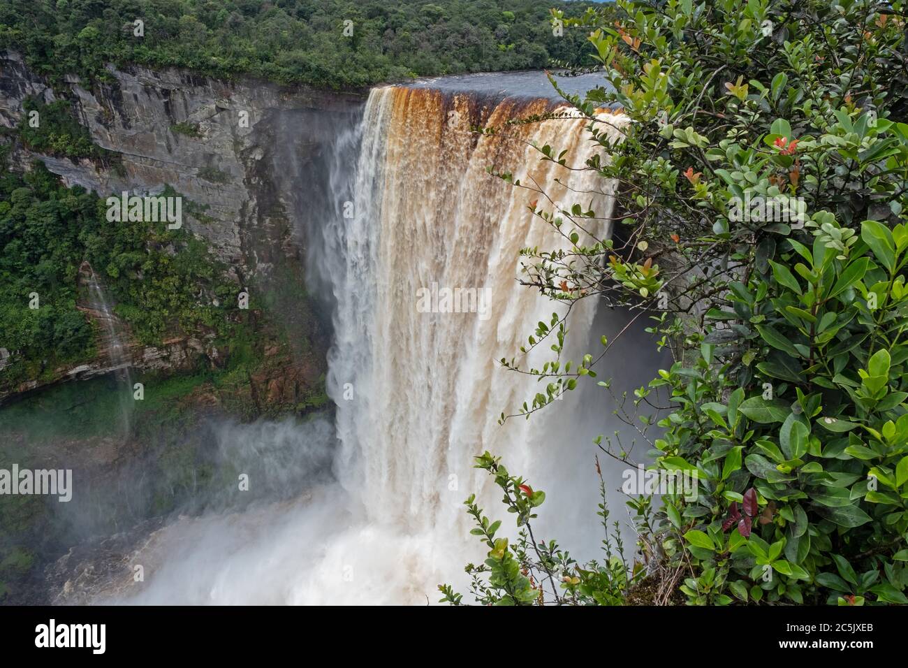 Kaieteur Falls en el río Potaro en el Parque Nacional Kaieteur, Guyana, Sudamérica. La cascada más grande del mundo en altura y volumen Foto de stock