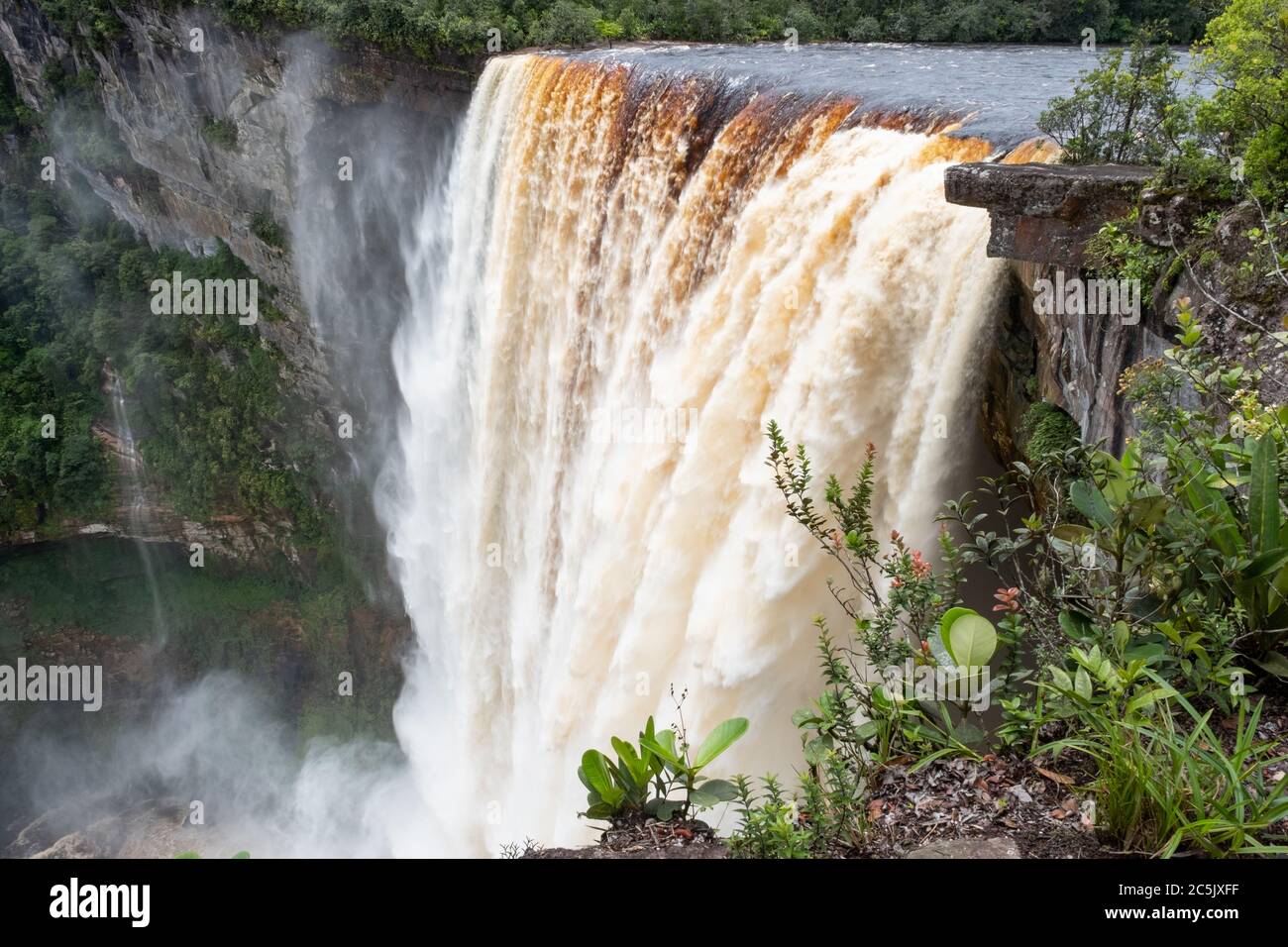 Kaieteur Falls en el río Potaro en el Parque Nacional Kaieteur, Guyana, Sudamérica. La cascada más grande del mundo en altura y volumen Foto de stock