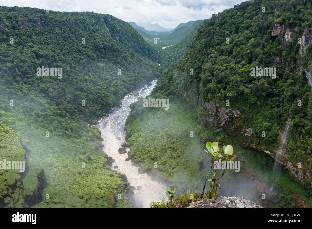 Vista aérea sobre el río Potaro desde lo alto de las cataratas Kaieteur en el Parque Nacional Kaieteur, Guyana, Sudamérica Foto de stock