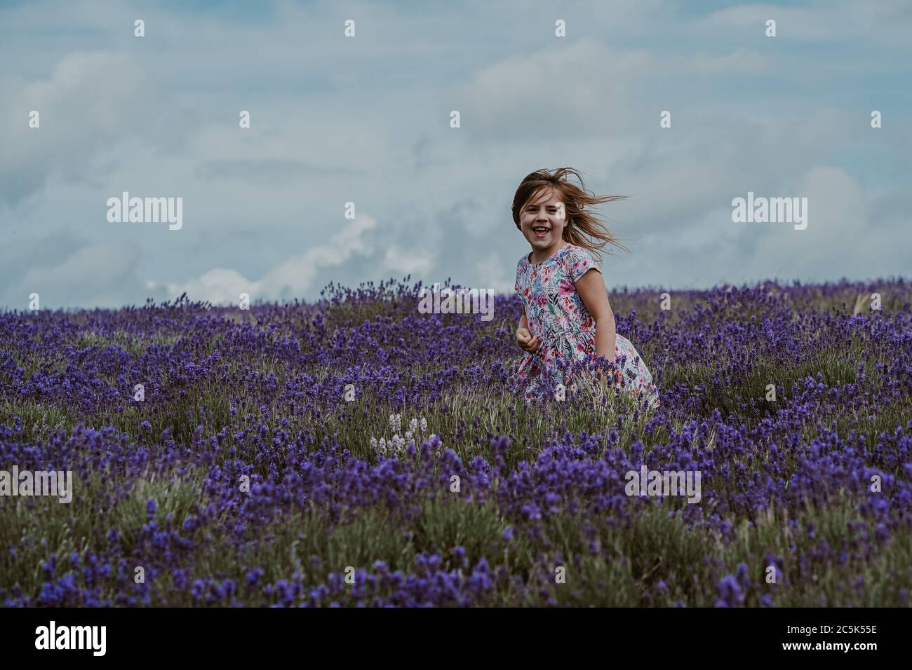 Niña en Lavender Field, Reino Unido Foto de stock