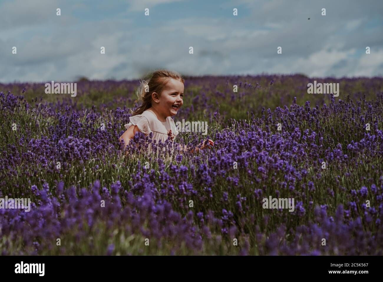 Niña en Lavender Field, Reino Unido Foto de stock