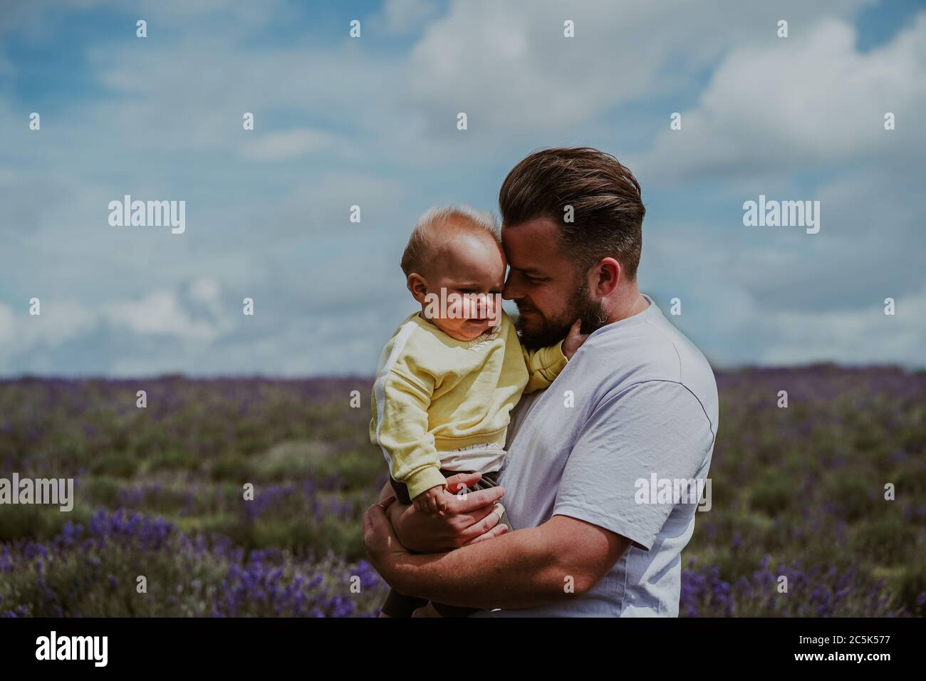 Fatehr y son en Lavender Field, Reino Unido Foto de stock