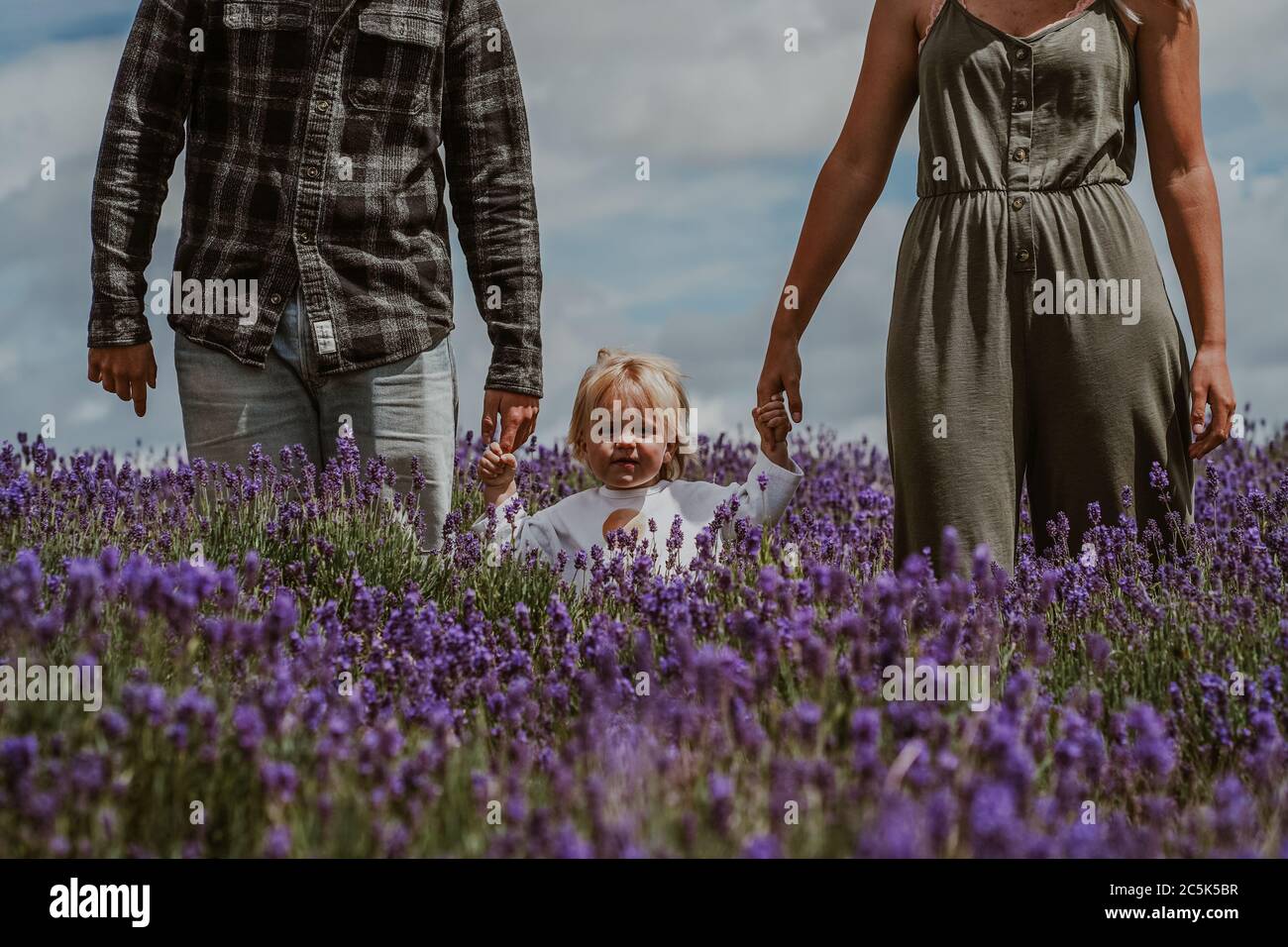 Madre, Padre e Hijo en Lavender Field, Reino Unido Foto de stock