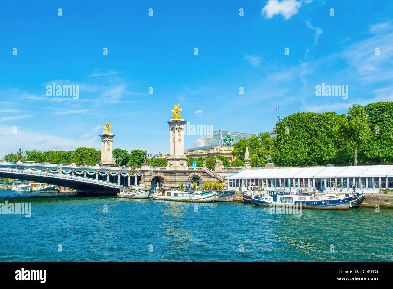 París, Francia - 25 de junio de 2019: Paisaje con el famoso puente Pont Alexandre III sobre el río Sena y el Gran Palacio (el Grand Palais des Champs-E Foto de stock