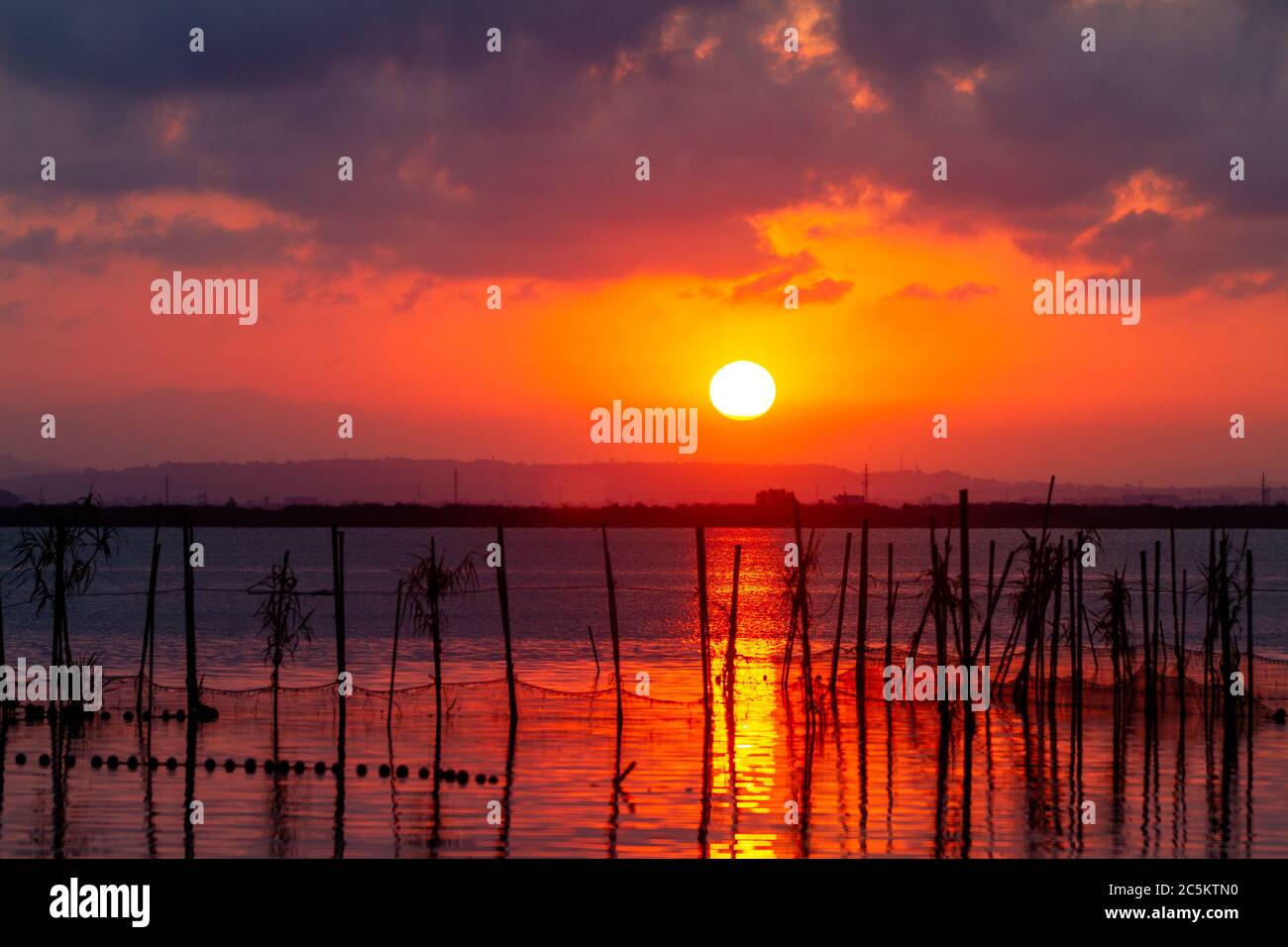 Ecosistema De Agua Dulce Fotos e Imágenes de stock Alamy