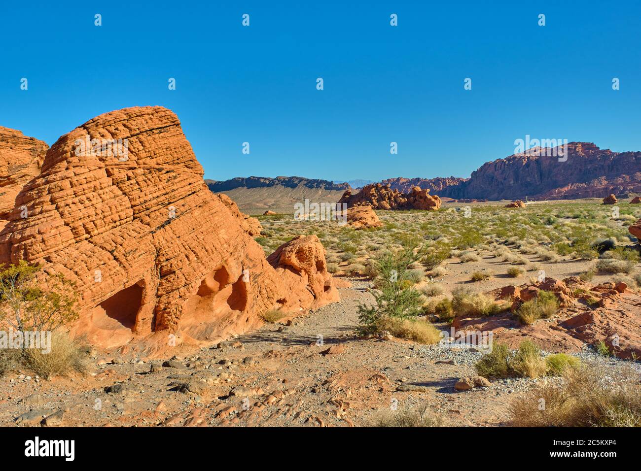 Formaciones rocosas en el Parque Estatal Valley of Fire, Nevada, EE.UU Foto de stock