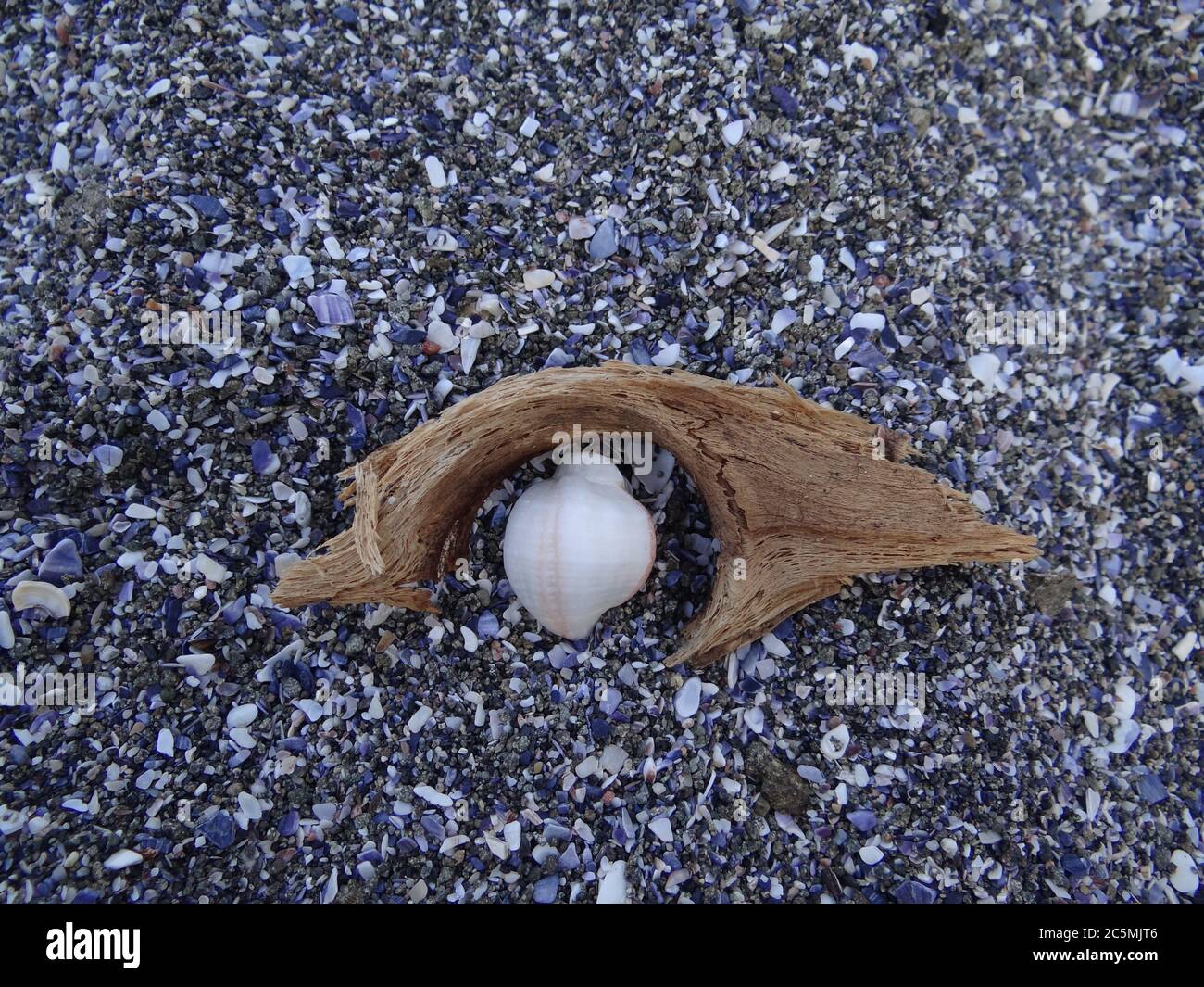 Objetos de mar en forma de ojo sobre fondo de playa Foto de stock