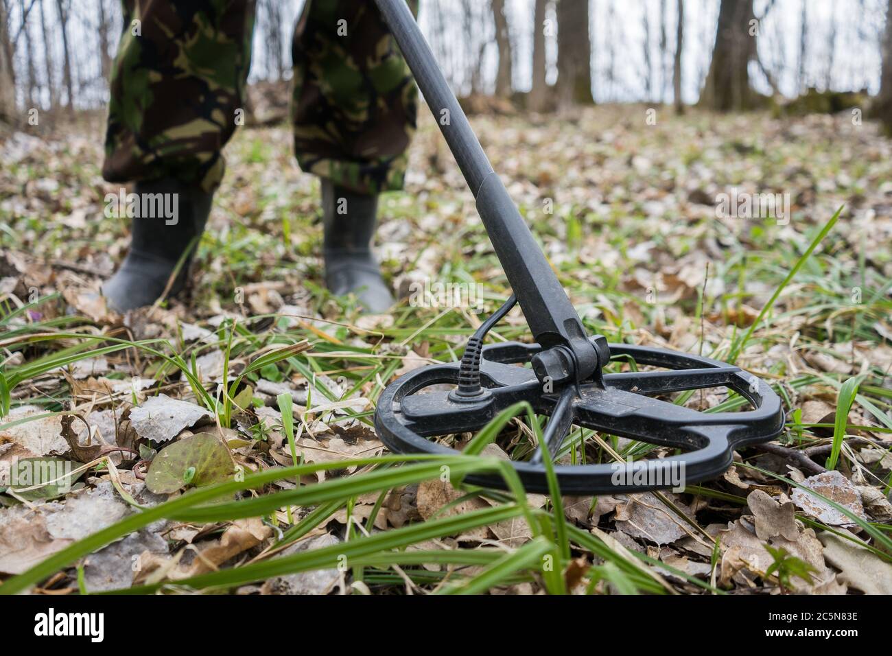 detector de metales en el bosque y un hombre cavando monedas. Buscar monedas  o metales viejos Fotografía de stock - Alamy