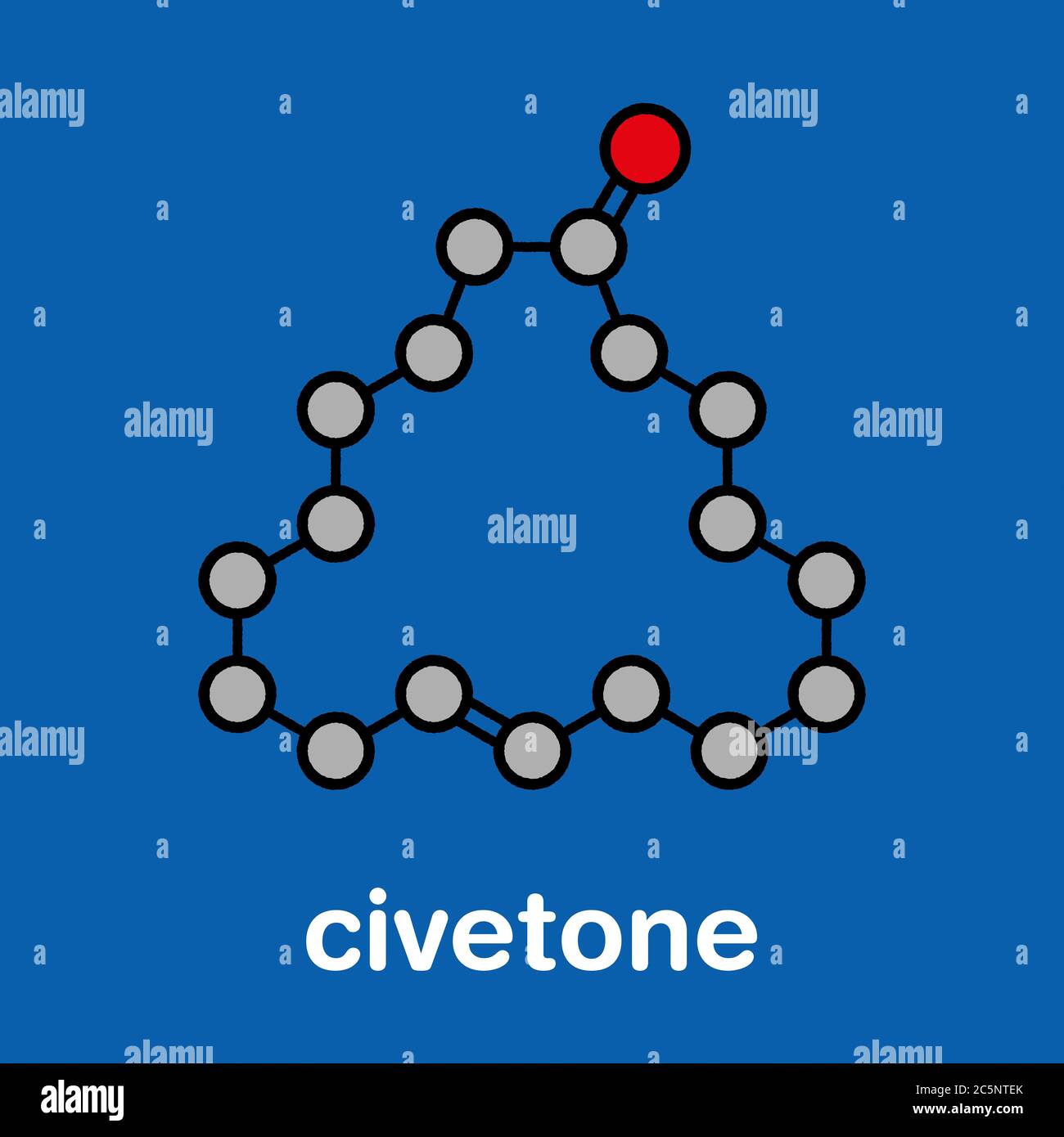 Civetone civet gato feromona molécula. Utilizado en perfume. Fórmula  esquelética estilizada (estructura química): Los átomos se muestran como  círculos codificados por colores: Hidrógeno (oculto), carbono (gris),  oxígeno (rojo Fotografía de stock -