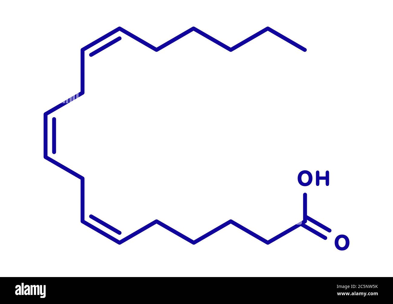 Molécula de ácido gamma-linolénico (GLA, ácido gamolénico). Ácido graso  poliinsaturado Omega-6. Fórmula esquelética Fotografía de stock - Alamy