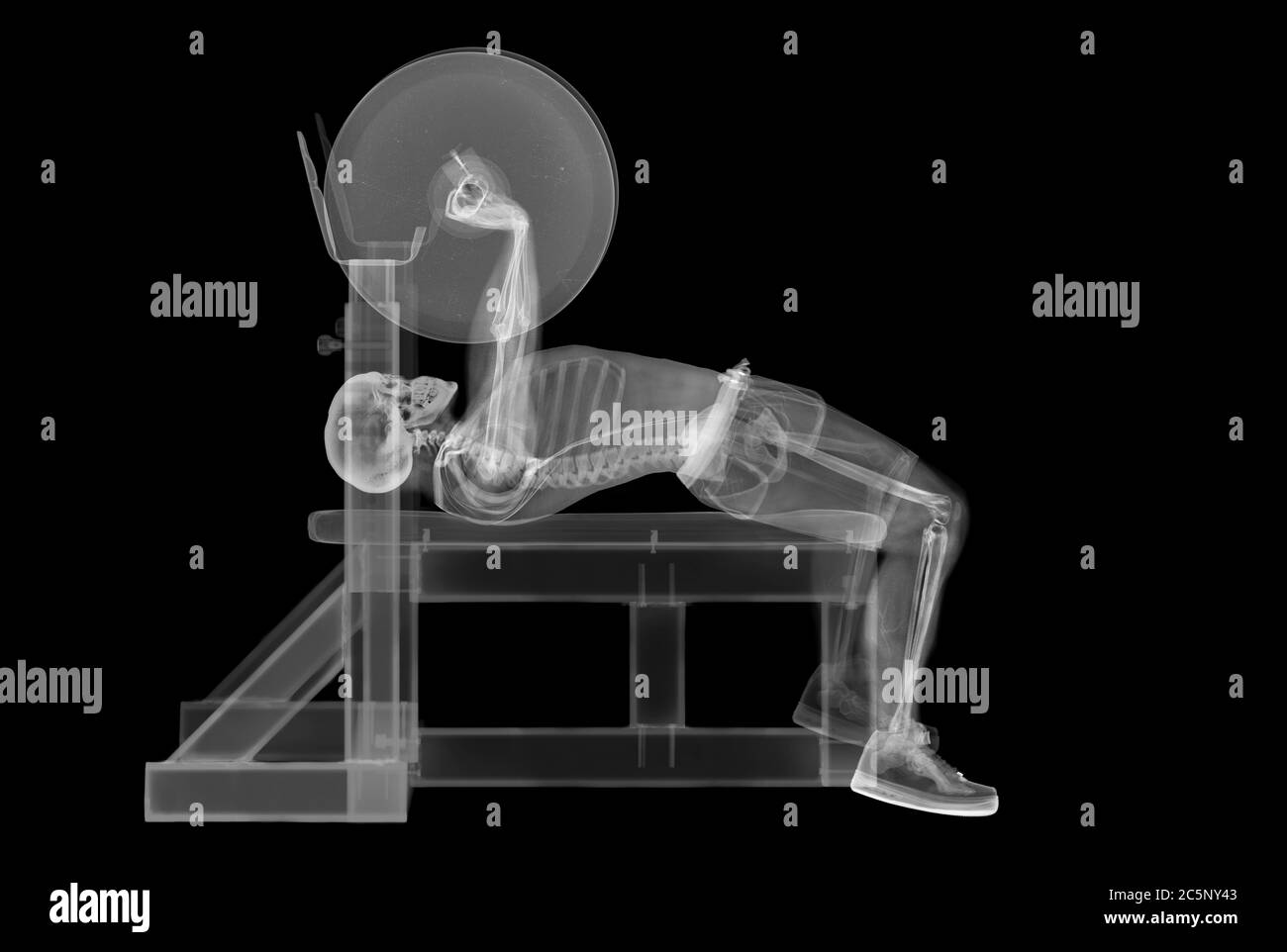 Levantador de pesas esqueleto prensa de banco, rayos X. Foto de stock