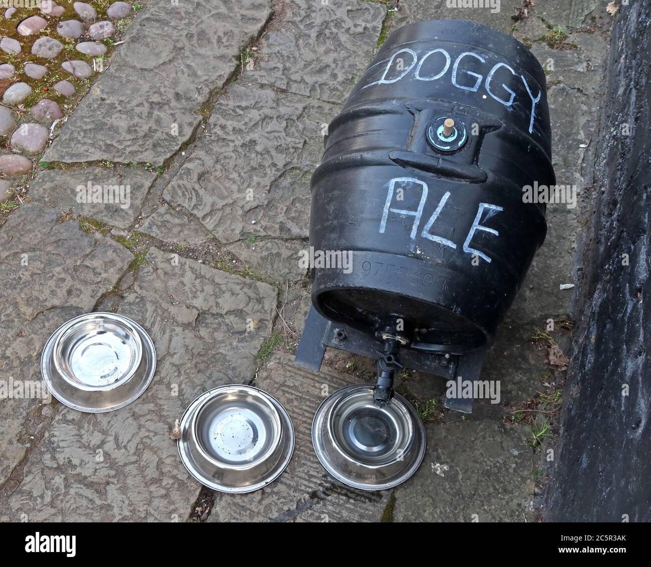 Doggy Ale, ale para perros, Pickering Arms, Thelwall, Warrington, Cheshire, Inglaterra, Reino Unido Foto de stock