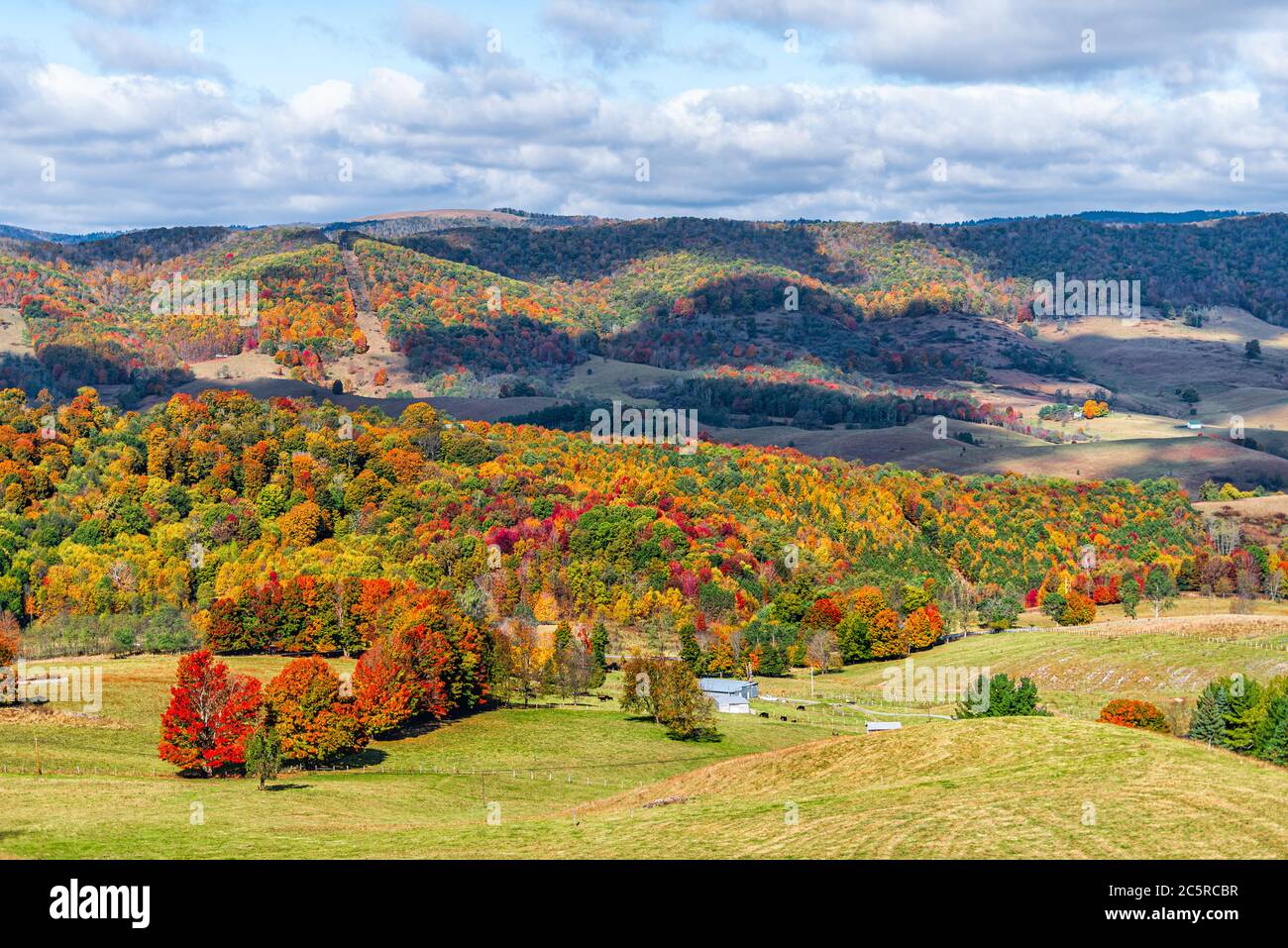 Otoño rojo color arce árboles y granja casa tierra colinas ondulantes aéreo sobre el paisaje de gran ángulo vista en Blue Grass, Highland County, Virginia Foto de stock