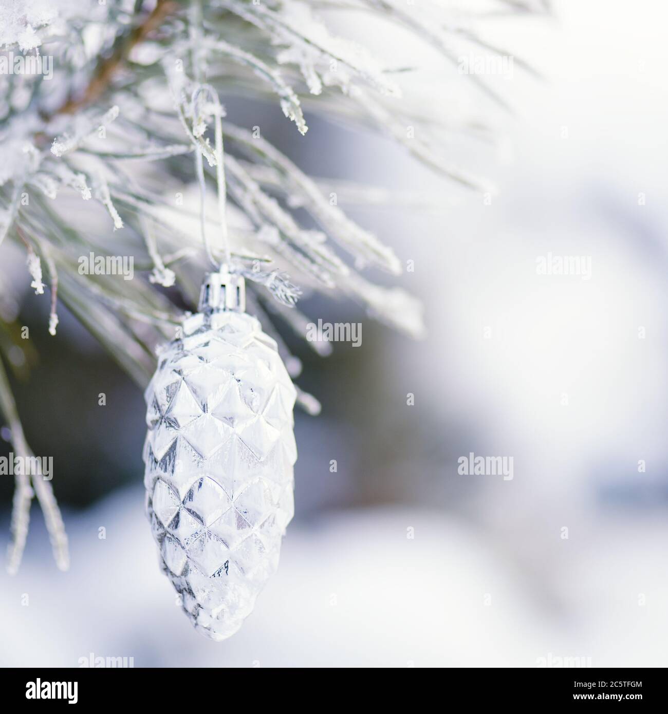Juguete decorativo de plata en la rama de un árbol de Navidad con nieve en el bosque, vacaciones de invierno fondo.nieve cubierta árboles de Navidad ramas Foto de stock