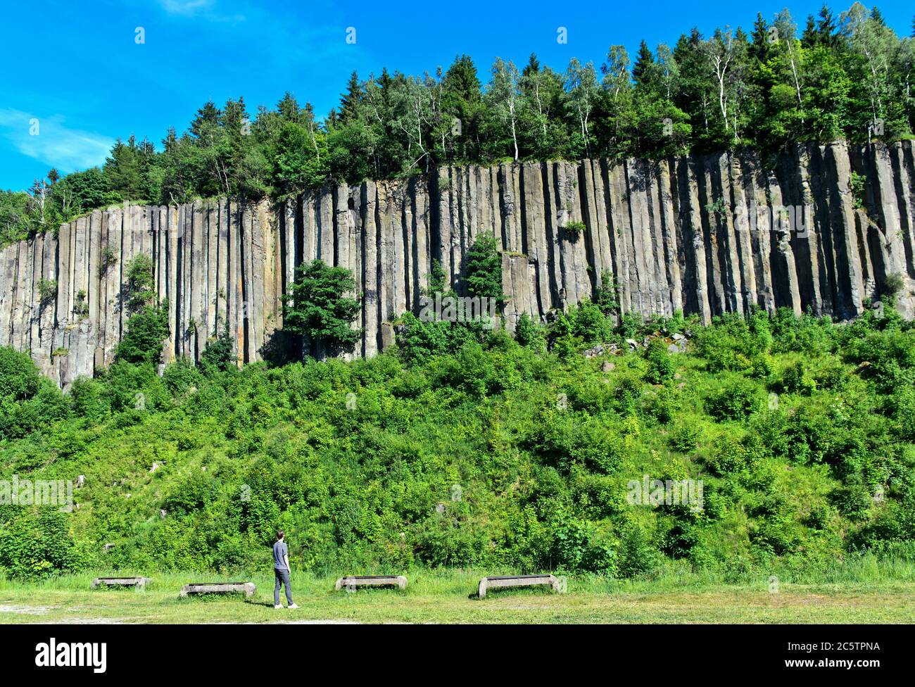 Monumento natural "tubos de órganos", columnas basalto en el Monte Scheibenberg, Scheibenberg, montañas Erzgebirge, Sajonia, Alemania Foto de stock