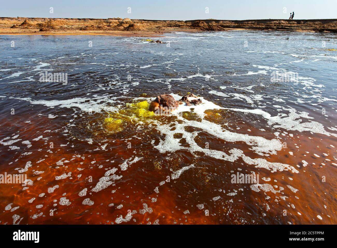 Fuentes burbujeantes de agua hipersalina en el estanque caliente de Gaet'ale, también estanque de petróleo, área geotérmica de Dallol, Hamadela, depresión de Danakil, Etiopía Foto de stock