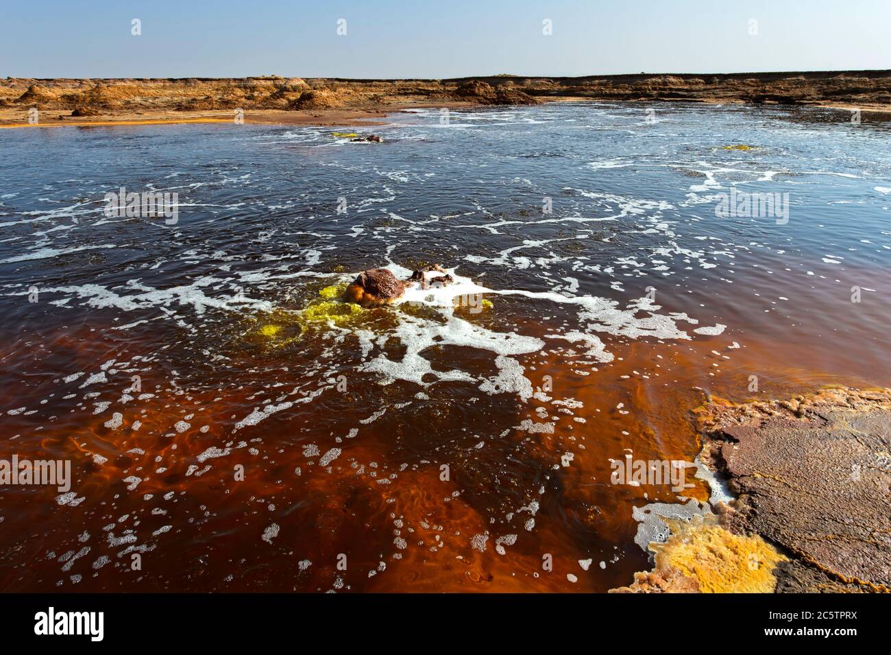 Fuentes burbujeantes de agua hipersalina en el estanque caliente de Gaet'ale, también estanque de petróleo, área geotérmica de Dallol, Hamadela, depresión de Danakil, Etiopía Foto de stock