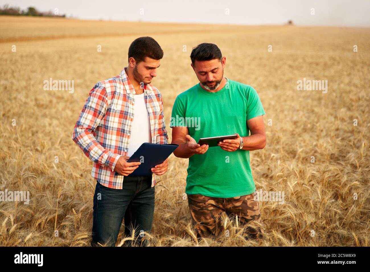 Dos agricultores se encuentran en el campo de rastrojo de trigo, discutir la cosecha, los cultivos. El agrónomo senior con tablet pc táctil enseña a un joven compañero de trabajo. Tecnología innovadora Foto de stock