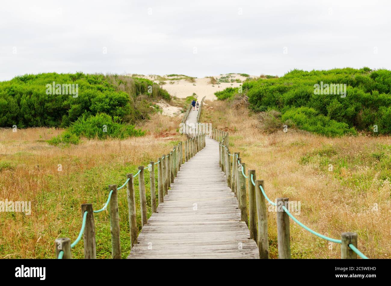 Puente que cruza las dunas más allá del horizonte Foto de stock