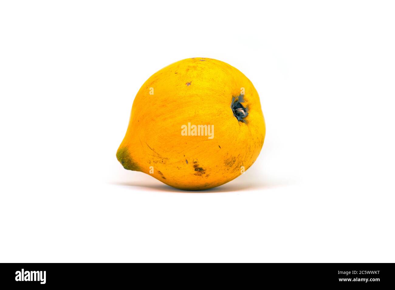 Fruta tropical amarilla Santol o Chisa sobre fondo blanco. Huevo de fruta o Chisa estudio tiro. Fruta exótica de las Filipinas. Postre tropical con Fotografía de stock - Alamy
