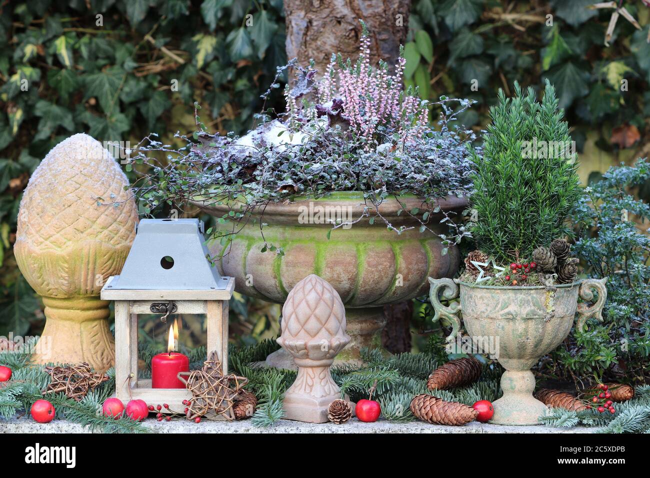 decoración de jardín de invierno con farol y plantas en jarrones de plantas  Fotografía de stock - Alamy